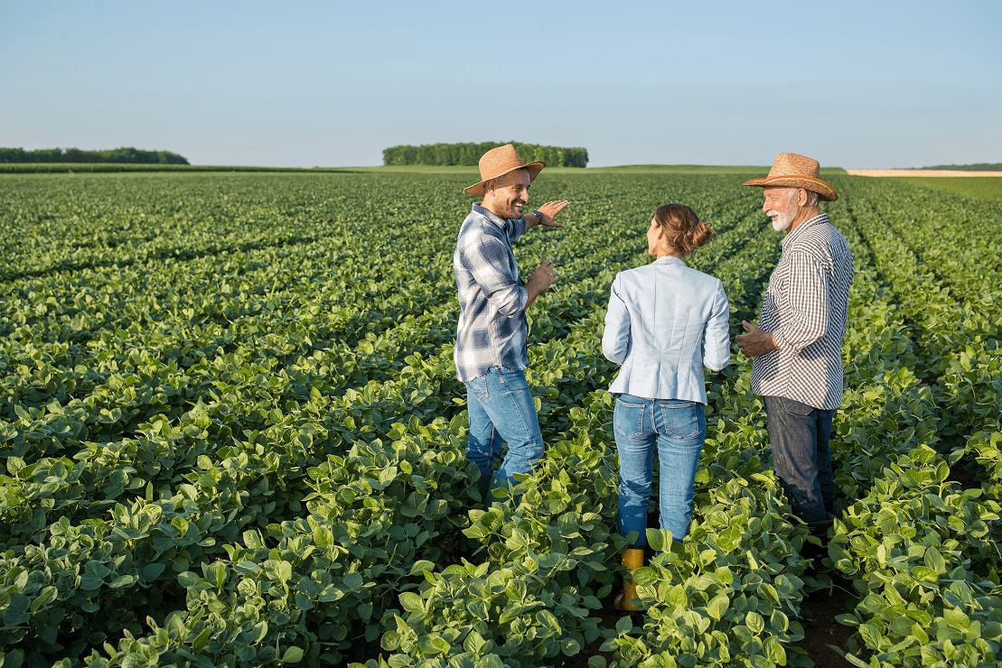 Agricultural & Livestock Insurance
