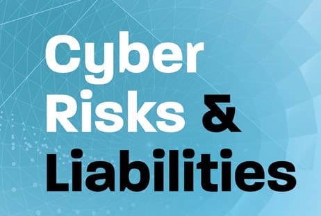 Cyber Risks and Liabilities