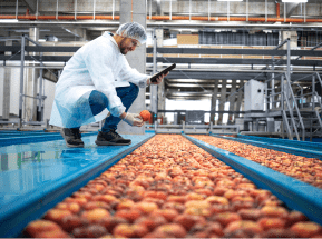 Food Processing & Manufacturing